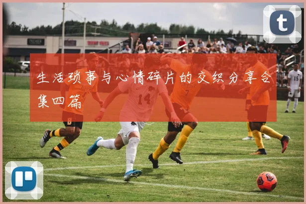 生活琐事与心情碎片的交织分享合集四篇